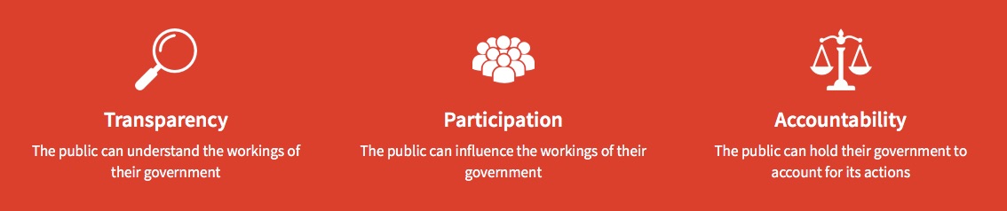 Open-Government-Network