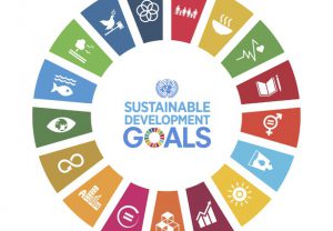Image of the Global Goals